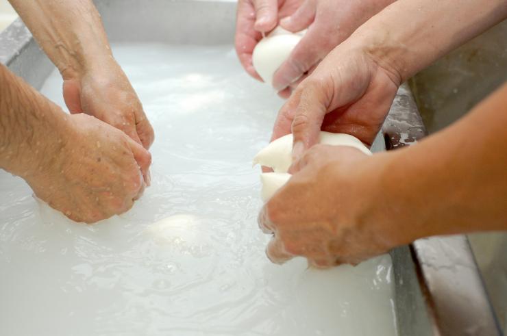dazi mozzarella 