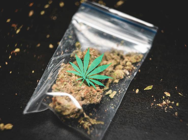 bustina di cannabis terapeutica