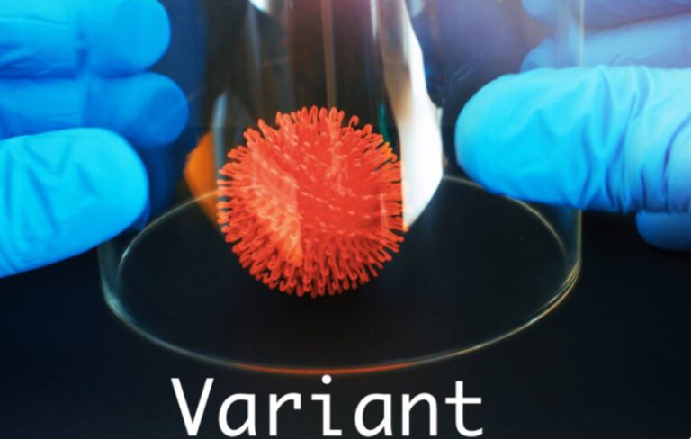 data in cui l'influenza 2025 colpirà di più