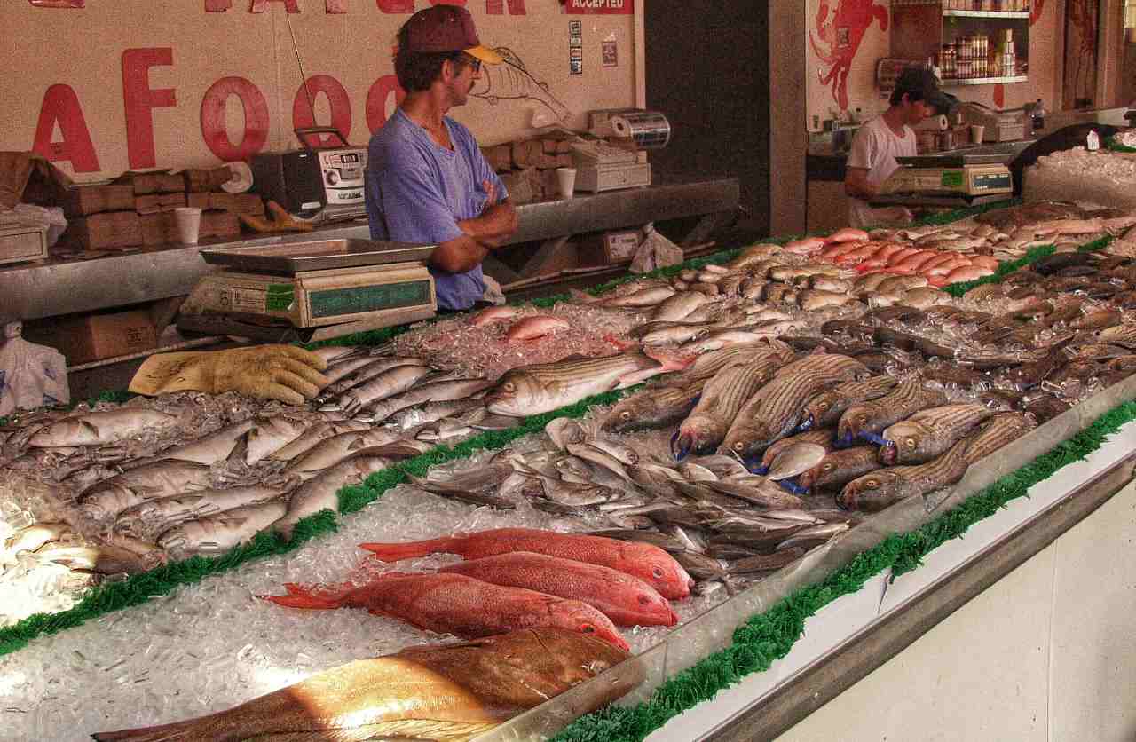 pescheria