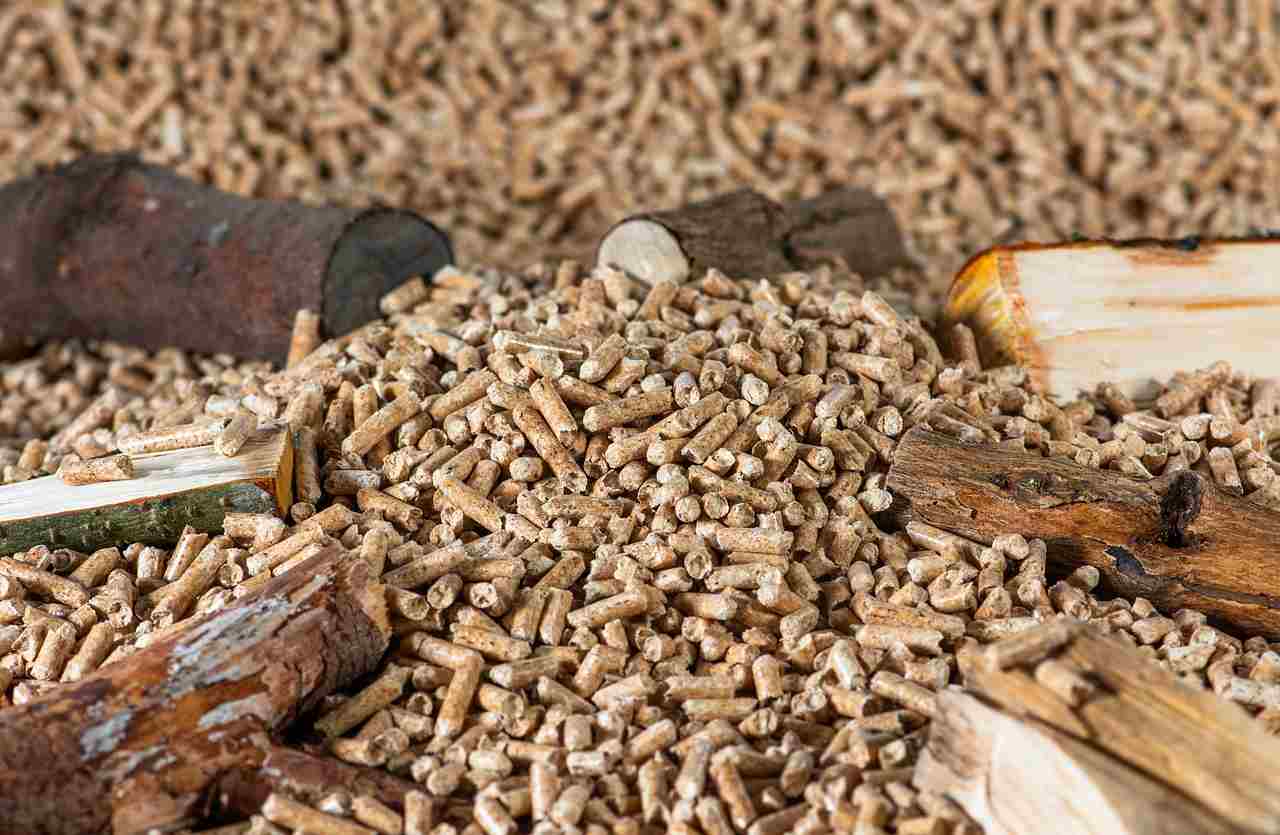 pellet