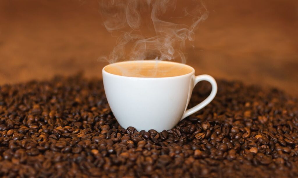 Lo studio di Harvard sul caffè amaro