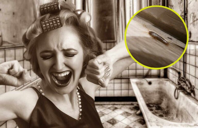 invasione pesciolini