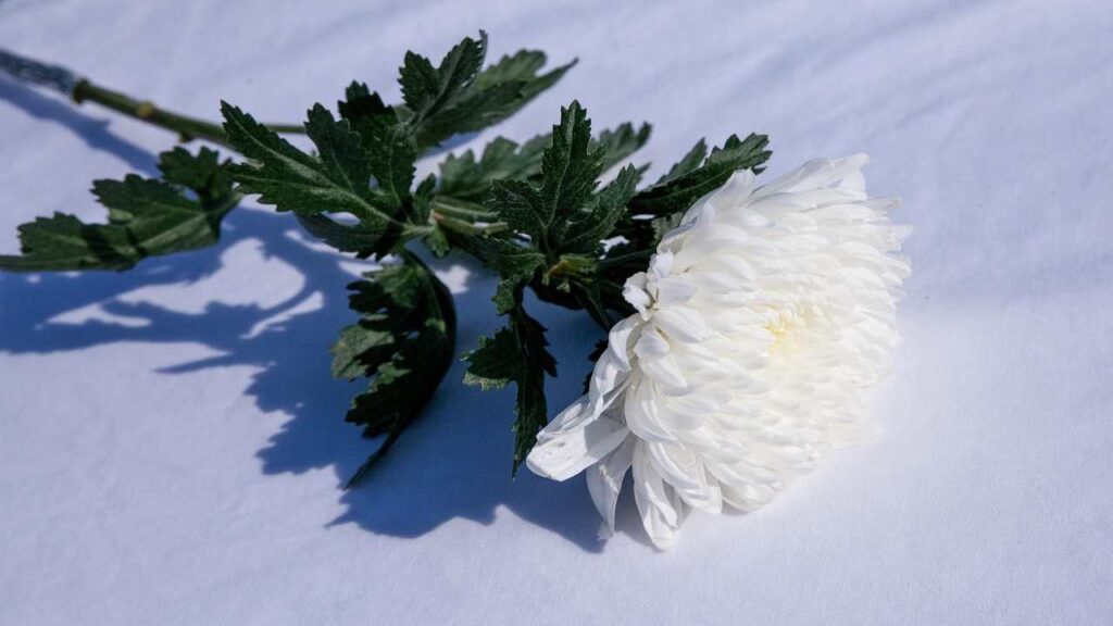 Memorial Michele Perrini: Bitonto non dimentica | Appuntamento a luglio 2025