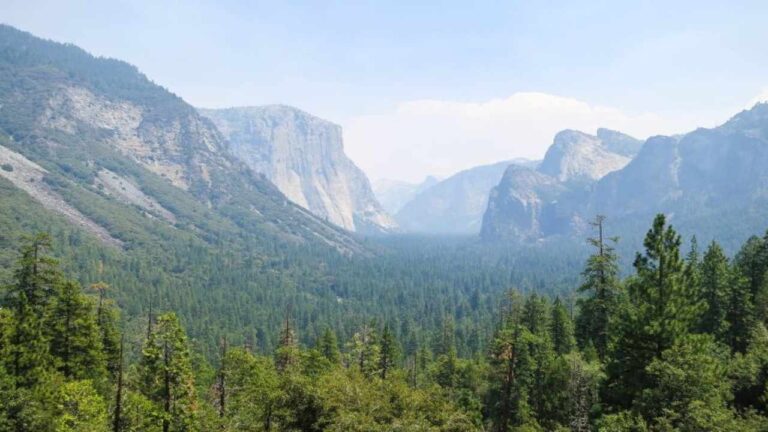 Via libera in Giunta regionale: approvato lo statuto dell’ente Parco Lama Balice