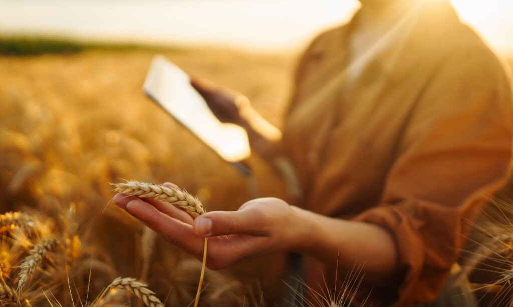 L'agricoltura incontra l'innovazione: cosa cambia