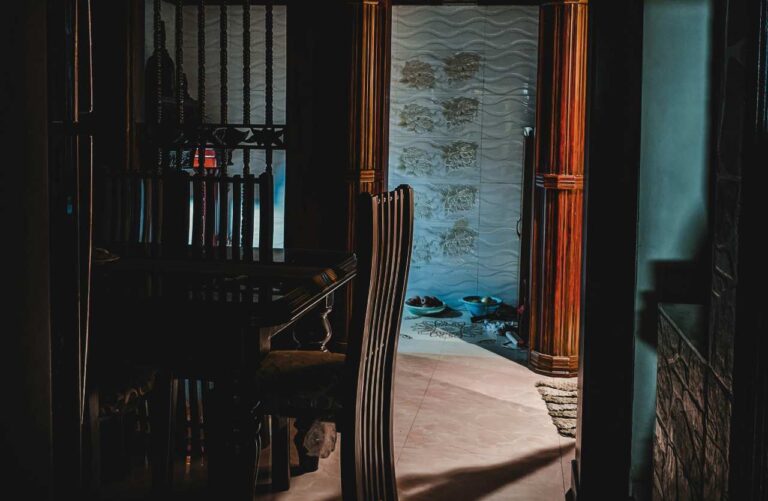 scarafaggi invasione