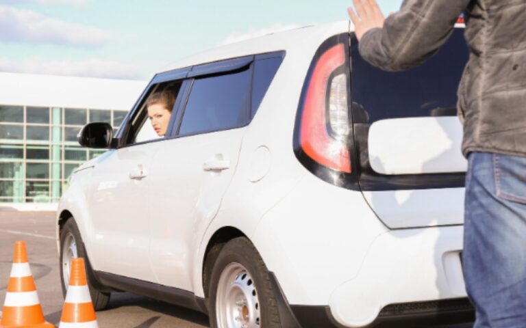 selezione naturale delle auto