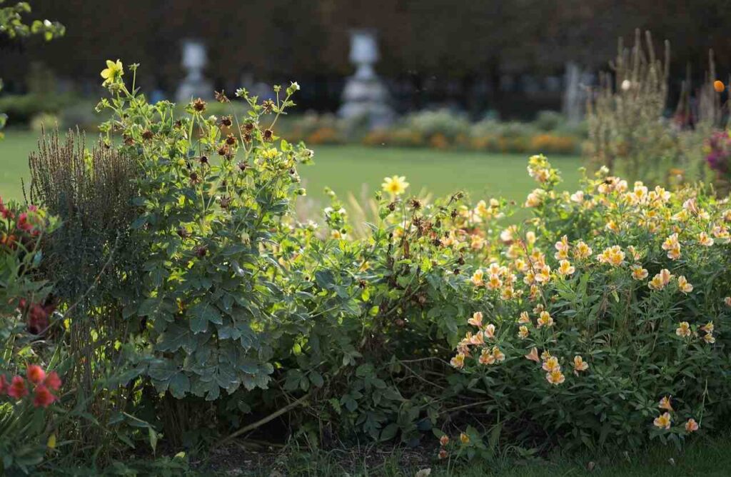 giardino perfetto
