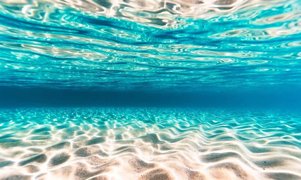 Il protagonista è il mare: ecco cosa sapere