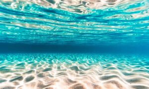 Il protagonista è il mare: ecco cosa sapere