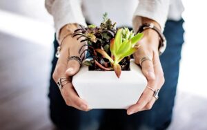 trucco delle piante in frigo