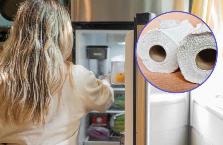 scottex e frigo aperto