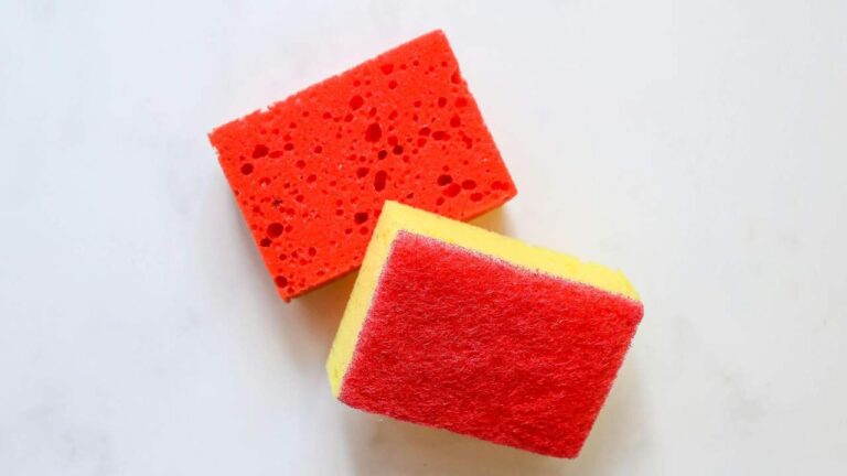 La spugna che ti salva l'estate