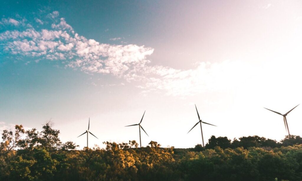 Svolta ecosostenibile: cosa cambia da oggi