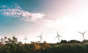 Svolta ecosostenibile: cosa cambia da oggi