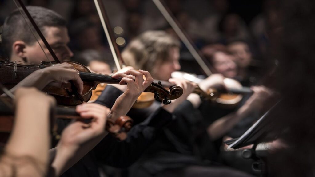 Concerto orchestra