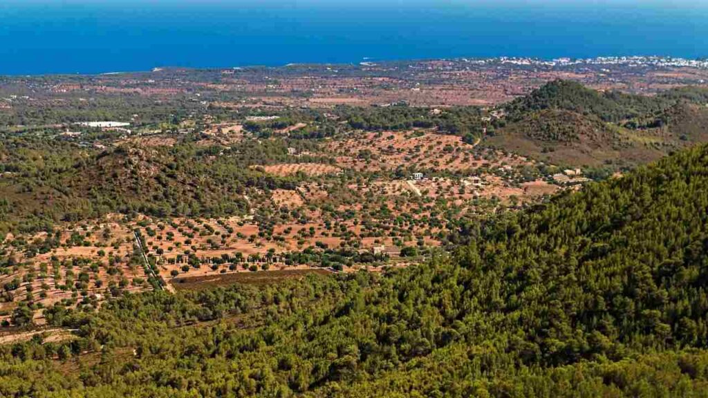 Presentata la mozione contro il consumo di suolo agricolo e naturale: Strada in Comune, Sinistra Italiana e PSI difendono il territorio