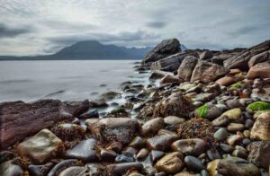 alga invasione