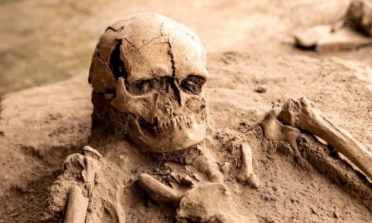 Oltre 300 resti umani: cosa sapere