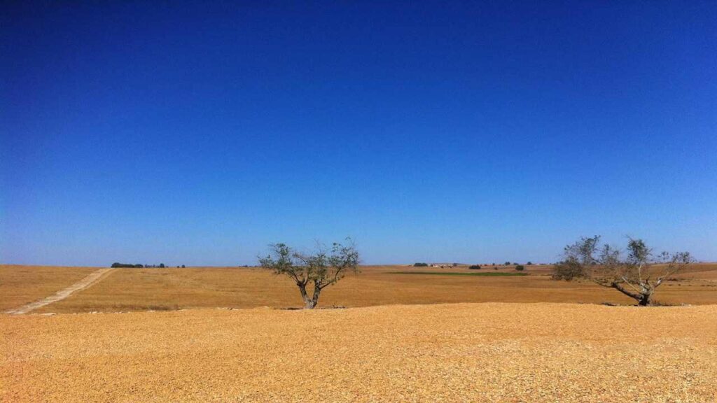 Effetti desertificazione (Pixabay)-bitontotv.it