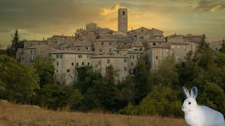 Il borgo del bianconiglio
