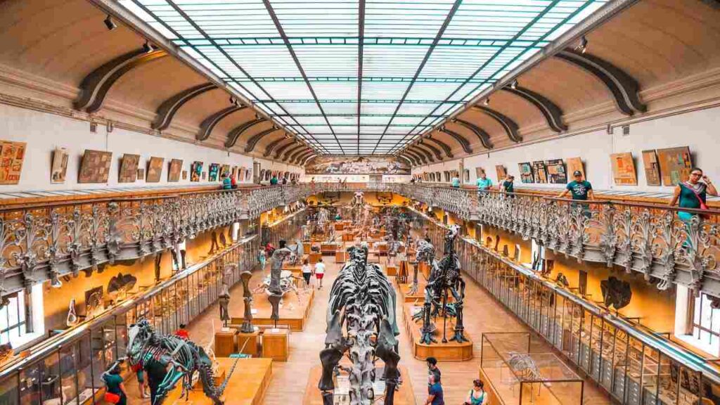Musei (Pixabay)-bitontotv.it