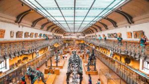 Musei (Pixabay)-bitontotv.it