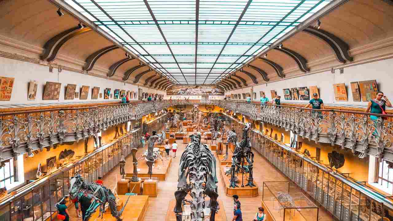 La Puglia torna a essere la regione della Cultura | Riapre il tanto amato museo