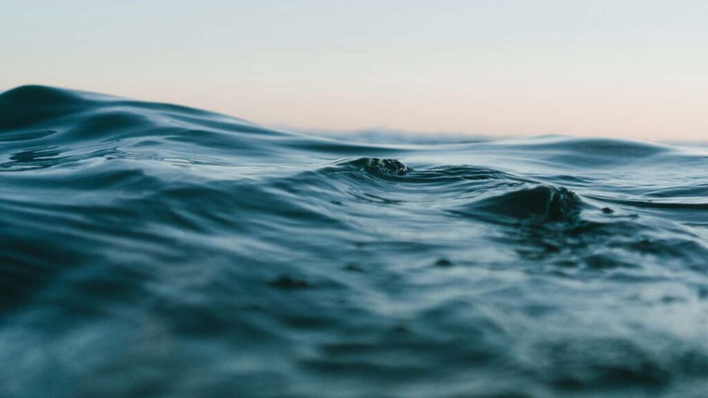 mare